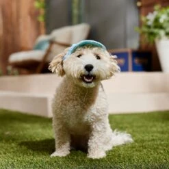 Frisco Blue Ocean Waves 30 + UPF Dog & Cat Beach Cap -Pet Supplies Discount Store 556182 PT5. AC SS1800 V1675714092