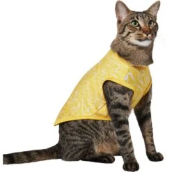 Frisco 30+ UPF Dog & Cat Beach Rash Guard -Pet Supplies Discount Store 556286 PT3. AC SS1800 V1675714033