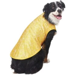 Frisco 30+ UPF Dog & Cat Beach Rash Guard -Pet Supplies Discount Store 556286 PT4. AC SS1800 V1675713977