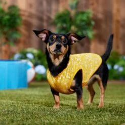 Frisco 30+ UPF Dog & Cat Beach Rash Guard -Pet Supplies Discount Store 556286 PT6. AC SS1800 V1675714036