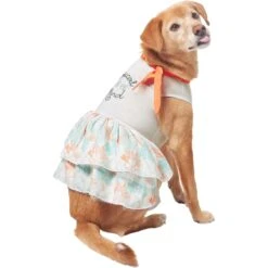 Frisco Tropical State Of Mind Dog & Cat Dress -Pet Supplies Discount Store 556742 PT3. AC SS1800 V1675103177