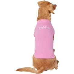 Frisco Personalized Basic Dog & Cat T-Shirt 11 Frisco Personalized Basic Dog & Cat T-Shirt -Pet Supplies Discount Store 557438 PT2. AC SS1800 V1662738086