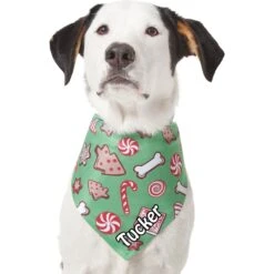 Frisco Gingerbread Treats Personalized Dog & Cat Bandana 17 Frisco Gingerbread Treats Personalized Dog & Cat Bandana -Pet Supplies Discount Store 564502 PT6. AC SS1800 V1660405305
