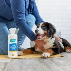 FURminator Long Hair Dog Deshedding Tool & Frisco Shed Reducing Waterless Grooming Wipes For Dogs & Cats, 50 Count -Pet Supplies Discount Store 575134 PT6. AC SS1800 V1657660396