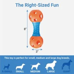Frisco Dumbbell TPR Fetch Dog Toy + 3 Items 12 Frisco Dumbbell TPR Fetch Dog Toy + 3 Items -Pet Supplies Discount Store 582446 PT2. AC SS1800 V1658239272