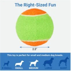 Frisco Dumbbell TPR Fetch Dog Toy + 3 Items 16 Frisco Dumbbell TPR Fetch Dog Toy + 3 Items -Pet Supplies Discount Store 582446 PT6. AC SS1800 V1658238980