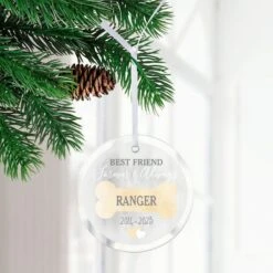 Frisco "Best Friend" Round Shaped Personalized Ornament -Pet Supplies Discount Store 582606 PT2. AC SS1800 V1697131878