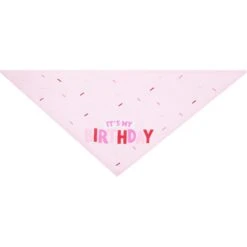 Frisco Dog & Cat Birthday Bandana -Pet Supplies Discount Store 608206 PT4. AC SS1800 V1676586068