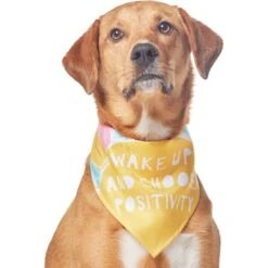 Frisco Wake Up Positive Dog & Cat Bandana -Pet Supplies Discount Store 608230 PT3. AC SS1800 V1676643831