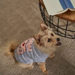 Frisco I Love Daddy Heart Dog & Cat T-Shirt -Pet Supplies Discount Store 608262 PT7. AC SS1800 V1676585954