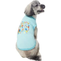 Frisco Birthday Celebration Dog & Cat T-Shirt -Pet Supplies Discount Store 608318 PT3. AC SS1800 V1676643253