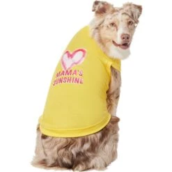 Frisco Mama's Sunshine Dog & Cat T-Shirt -Pet Supplies Discount Store 608446 PT3. AC SS1800 V1676586071