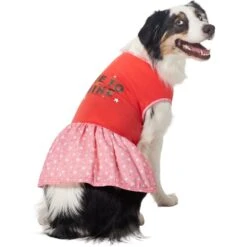 Frisco Time To Shine Dog & Cat Dress -Pet Supplies Discount Store 608638 PT3. AC SS1800 V1676644904