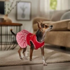 Frisco Time To Shine Dog & Cat Dress -Pet Supplies Discount Store 608638 PT7. AC SS1800 V1676643324