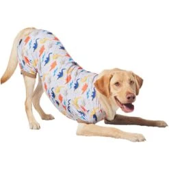 Frisco Dinosaur Dog & Cat Jersey PJs -Pet Supplies Discount Store 609062 PT4. AC SS1800 V1681488688