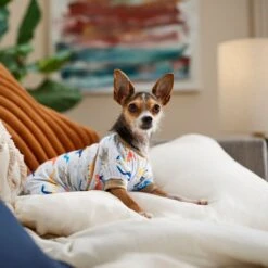 Frisco Dinosaur Dog & Cat Jersey PJs -Pet Supplies Discount Store 609062 PT6. AC SS1800 V1676643314