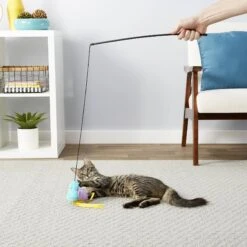 Frisco Natural Catnip & Frisco Bird With Feathers Teaser Wand Cat Toy With Catnip -Pet Supplies Discount Store 630198 PT8. AC SS1800 V1683212566