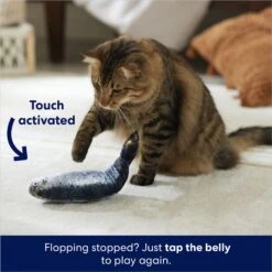 Frisco Interactive Flopping Fish Electronic Cat Toy With Catnip 12 Frisco Interactive Flopping Fish Electronic Cat Toy With Catnip -Pet Supplies Discount Store 632798 PT4. AC SS1800 V1679513800