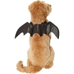 Frisco Bat Wings Dog & Cat Costume & Buckle-Down Batman Shield Polyester Dog Collar -Pet Supplies Discount Store 638566 PT3. AC SS1800 V1663254451