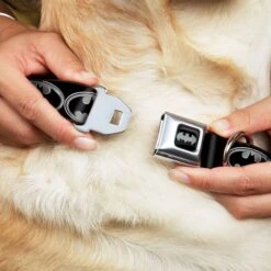 Frisco Bat Wings Dog & Cat Costume & Buckle-Down Batman Shield Polyester Dog Collar -Pet Supplies Discount Store 638566 PT6. AC SS1800 V1663254111