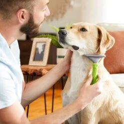 Frisco 71-in Faux Fur Cat Tree & Condo & Frisco Deshedding Dog & Cat Brush 18 Frisco 71-in Faux Fur Cat Tree & Condo & Frisco Deshedding Dog & Cat Brush -Pet Supplies Discount Store 660294 PT7. AC SS1800 V1666839309