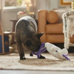 Frisco Halloween Bunny Ghost Plush Squeaky Dog Toy 10 Frisco Halloween Bunny Ghost Plush Squeaky Dog Toy -Pet Supplies Discount Store 667878 PT3. AC SS1800 V1689340856