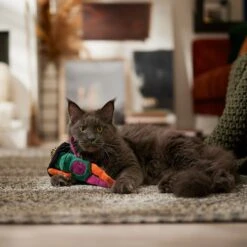 Frisco Halloween Frog In Witch Hat Plush Kicker Cat Toy With Catnip -Pet Supplies Discount Store 667942 PT3. AC SS1800 V1689355019