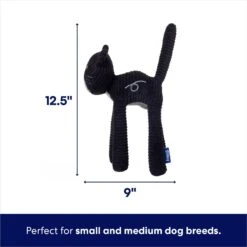 Frisco Halloween Cutie Black Cat Plush Squeaky Dog Toy -Pet Supplies Discount Store 668006 PT1. AC SS1800 V1689350658