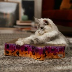Frisco Halloween Ghost Swirl Scratcher Cat Toy With Catnip 8 Frisco Halloween Ghost Swirl Scratcher Cat Toy With Catnip -Pet Supplies Discount Store 668230 PT3. AC SS1800 V1689343997