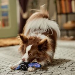 Frisco Halloween Bat Fetch Squeaky Tennis Ball Dog Toy -Pet Supplies Discount Store 668278 PT3. AC SS1800 V1689350166