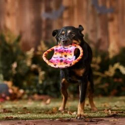 Frisco Halloween Ghost Swirl Fetch Flyer Dog Toy 8 Frisco Halloween Ghost Swirl Fetch Flyer Dog Toy -Pet Supplies Discount Store 668294 PT3. AC SS1800 V1689278363