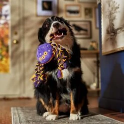 Frisco Halloween Magical Spider Plush With Rope Squeaky Dog Toy -Pet Supplies Discount Store 668310 PT3. AC SS1800 V1690571954