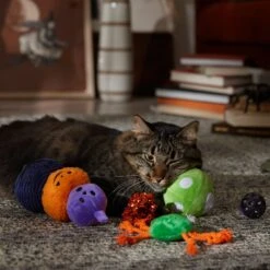 Frisco Halloween Mystical Variety Pack Plush & Balls Cat Toy With Catnip -Pet Supplies Discount Store 668374 PT3. AC SS1800 V1689282492