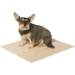 Frisco Large Eco-Conscious Dog Training & Potty Pads & American Journey Peanut Butter Recipe Grain-Free Oven Baked Crunchy Biscuit Dog Treats -Pet Supplies Discount Store 678574 PT3. AC SS1800 V1667863365