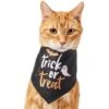 Frisco Trick Or Treat Dog & Cat Bandana -Pet Supplies Discount Store 706398 MAIN. AC SS1800 V1689271218