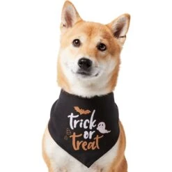 Frisco Trick Or Treat Dog & Cat Bandana -Pet Supplies Discount Store 706398 PT2. AC SS1800 V1690478415
