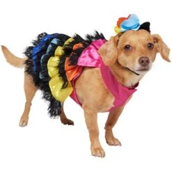 Frisco Ruffle Party Dog & Cat Dress + Headpiece -Pet Supplies Discount Store 707350 PT2. AC SS1800 V1689278779