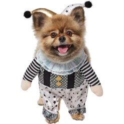 Frisco Front Walking Glitter Clown Dog & Cat Costume -Pet Supplies Discount Store 707542 PT2. AC SS1800 V1689351699
