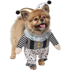 Frisco Front Walking Glitter Clown Dog & Cat Costume -Pet Supplies Discount Store 707542 PT3. AC SS1800 V1689278296