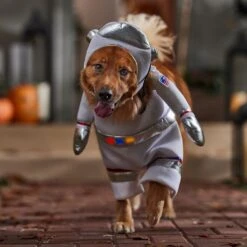 Frisco Front Walking LED Astronaut Dog & Cat Costume -Pet Supplies Discount Store 707630 PT7. AC SS1800 V1689278700