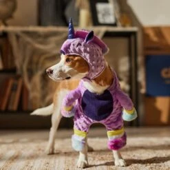 Frisco Front Walking Unicorn Dog & Cat Costume -Pet Supplies Discount Store 707678 PT7. AC SS1800 V1689355019
