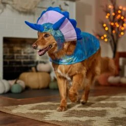 Frisco Dinosaur Dog & Cat Costume -Pet Supplies Discount Store 707894 PT7. AC SS1800 V1689350593