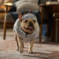 Frisco Disco Ball Dog & Cat Costume 16 Frisco Disco Ball Dog & Cat Costume -Pet Supplies Discount Store 707934 PT7. AC SS1800 V1689271312