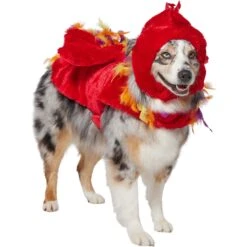 Frisco Flying Phoenix Dog & Cat Costume -Pet Supplies Discount Store 708150 PT3. AC SS1800 V1691084928