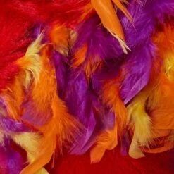 Frisco Flying Phoenix Dog & Cat Costume -Pet Supplies Discount Store 708150 PT6. AC SS1800 V1689351754