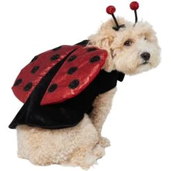 Frisco Glittered Ladybug Dog & Cat Costume -Pet Supplies Discount Store 708254 PT3. AC SS1800 V1689350986