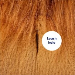 Frisco Lion Love Dog & Cat Costume -Pet Supplies Discount Store 708318 PT6. AC SS1800 V1689351045