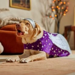 Frisco Shooting Stars Dog & Cat Costume 16 Frisco Shooting Stars Dog & Cat Costume -Pet Supplies Discount Store 708614 PT7. AC SS1800 V1689278699