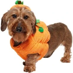 Frisco Pumpkin Ball Dog & Cat Costume -Pet Supplies Discount Store 708902 PT2. AC SS1800 V1689351041