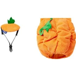 Frisco Pumpkin Ball Dog & Cat Costume -Pet Supplies Discount Store 708902 PT4. AC SS1800 V1689342202